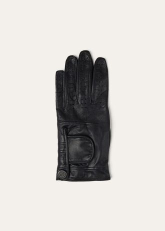 Ny Glove