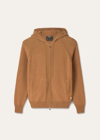 Vicu帽a Bomber